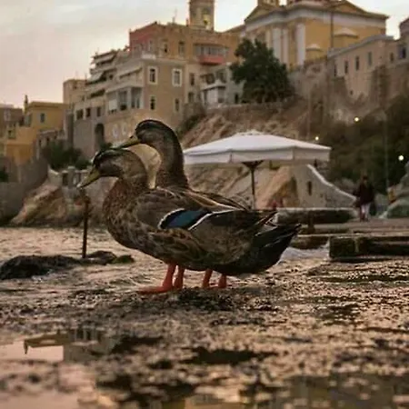 Thalassographia Syros